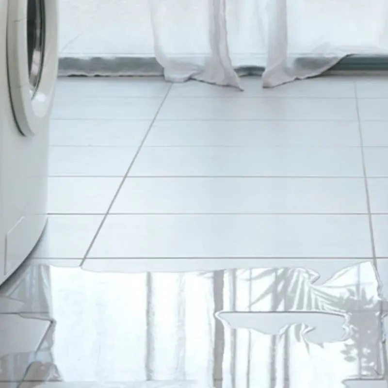 Appliance Leak Cleanup in Addison County, VT