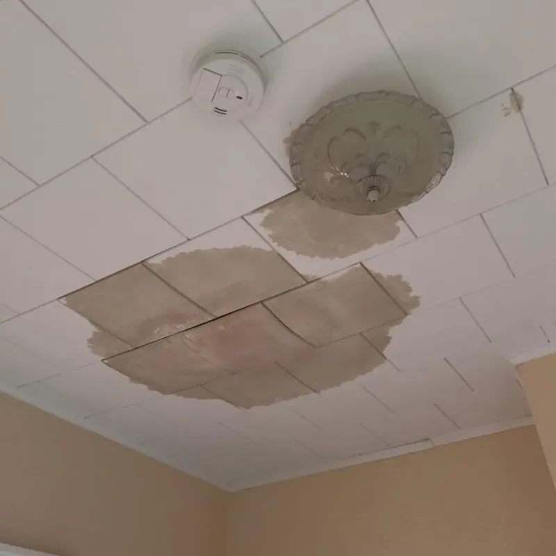 Ceiling Water Damage Repair in Addison County, VT