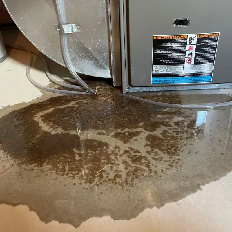 Pipe Burst and Leak Restoration in Addison County, VT